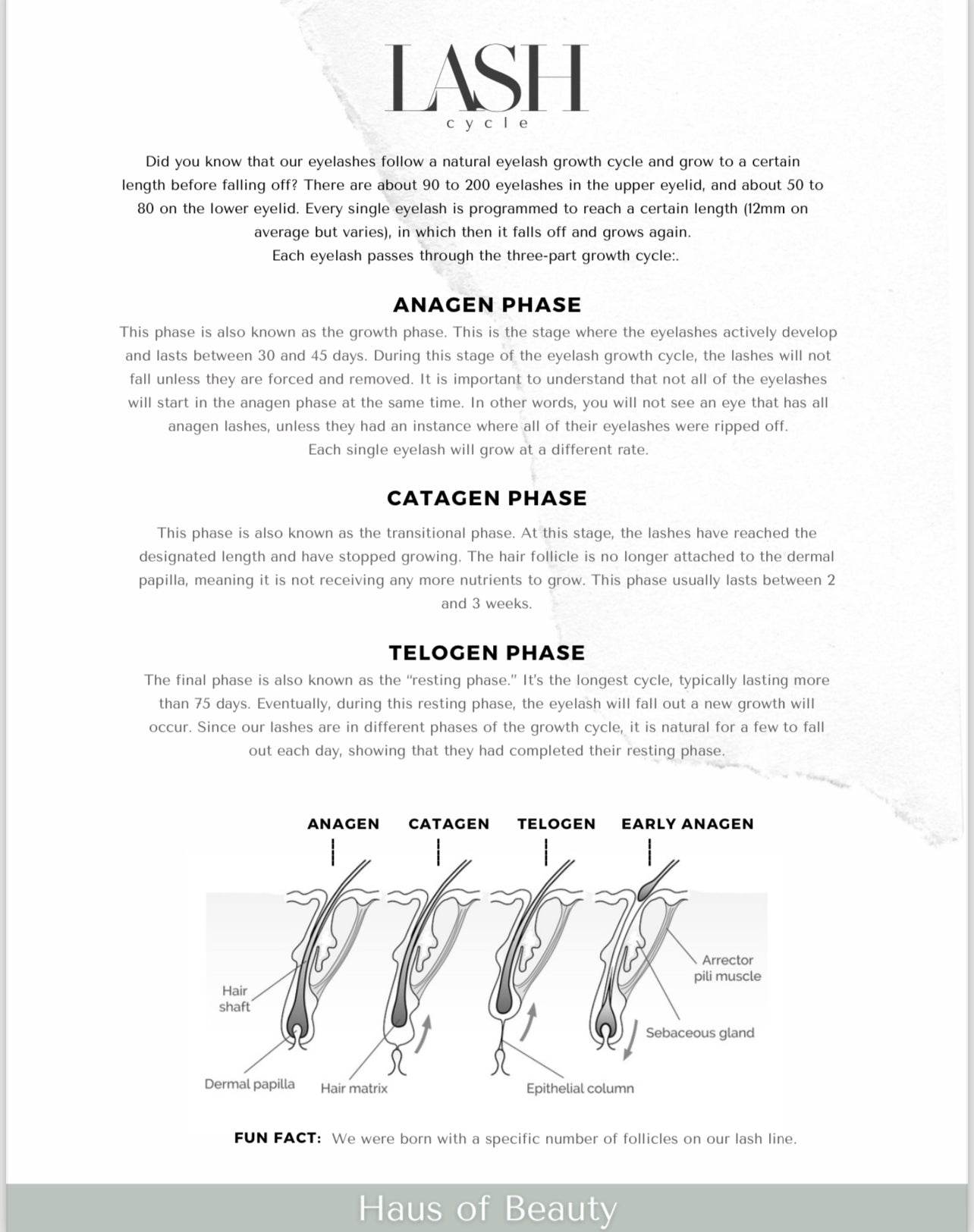 Classic Lash Training Manual (E-book)