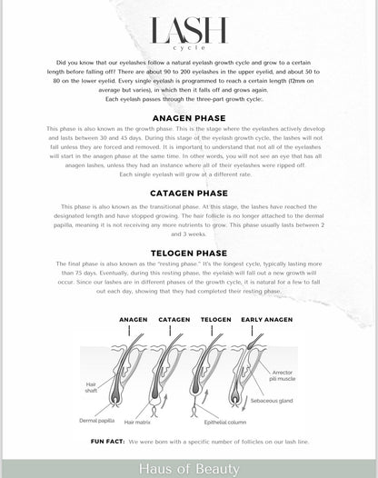 Classic Lash Training Manual (E-book)